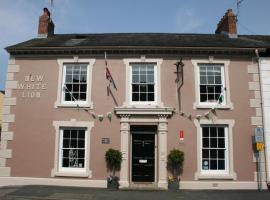 The New White Lion，位于兰达弗里的酒店