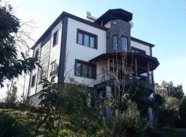 Nergis dağ evi