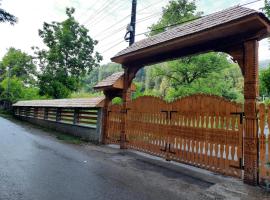 Pensiunea Micul Maramureș，位于Adunaţi的酒店