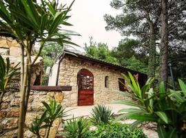 Holiday home Raos - a special stonehouse, Brela，位于布雷拉的乡村别墅