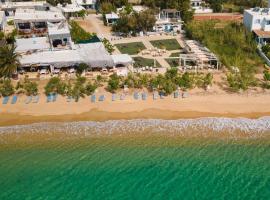 Alexandros by the Beach - Serifos，位于Livadakia的住宿加早餐旅馆