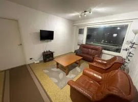 Comfortable neat large 3 room kitchen glass balcony apt Rauma center