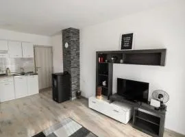 Apartman Planinski Raj