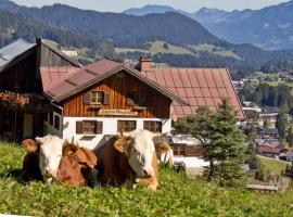 Haus Bergfelder，位于希洛谢克的酒店