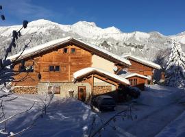 Chalet Crest-Voland, 7 pièces, 10 personnes - FR-1-733-34，位于克雷斯特沃朗的酒店