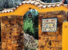 Quinta do Cabril，位于Serpins的公寓