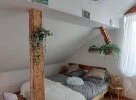 Apartmán Mourek