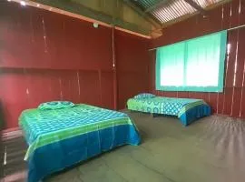 Metare Eco Hostal Amazonas