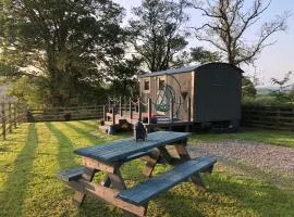 The Peacock Shepherds Hut at Hafoty Boeth