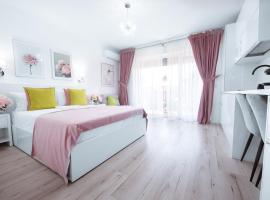 Studio Vladut，位于萨图恩的酒店