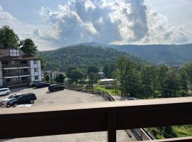 CITY & MOUNTAIN VIEW 5 Mins from downtown Gatlinburg，位于加特林堡的酒店