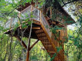 Tamarindo Pura Selva Eco Tree House，位于Guatemala的木屋