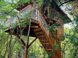 Tamarindo Pura Selva Eco Tree House，位于Guatemala的山林小屋
