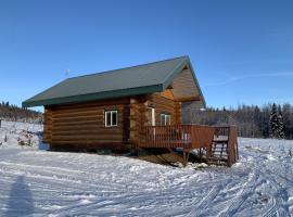The Chena Valley Cabin, perfect for aurora viewing，位于Pleasant Valley的度假屋