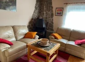 Vintage Holiday House