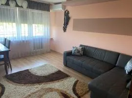 Mieszkanko na Traugutta