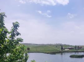 Lake House Gyumri，位于NoraberStantsiya Ani附近的酒店