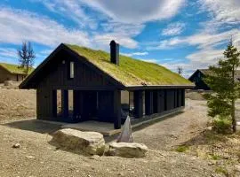 Brand new cabin at Moseteråsen Hafjell Ski inout