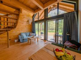 Kaszuby - Komfortowe domki nad jeziorem，位于Barkocin的酒店