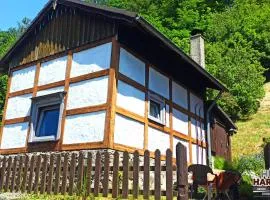 Arode Hütte Harzilein - Romantic tiny house on the edge of the forest