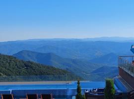 Sunset View Ski & Spa apartments Kopaonik，位于科帕奥尼克的酒店