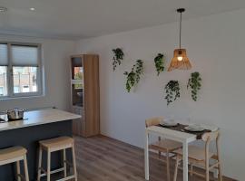 Appartement aan Zee，位于诺德韦克的度假短租房