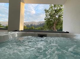 Villa San Antonio-apartment Suzana，位于巴斯卡的酒店