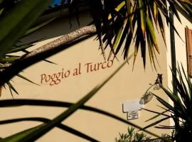 Agriturismo Poggio al Turco - Terrace View - a76163