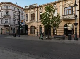 Dream Aparts - Piotrkowska 126 widok na deptak