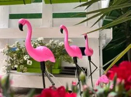 Casa Flamingo