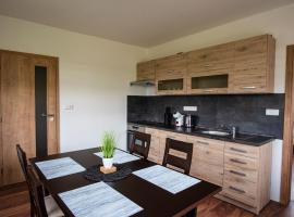 Apartmány Slavíkov - Simple Suite，位于Horní Radechová的酒店