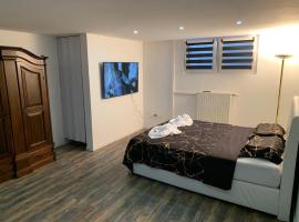 Studio 45m2 très calme，位于Village-Neuf的酒店