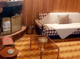 The log house in the village