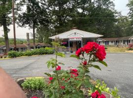 PennsWoods Inn，位于曼海姆的酒店