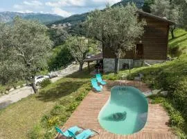 Oliveraie d'Olmiccia