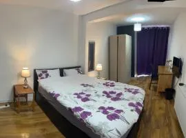 Inviting 2-Bed Apartment near Heathrow