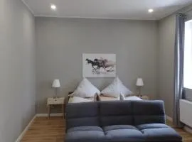 Neu möbliertes 1 - Zimmerapartment mitten in der Natur