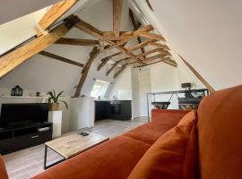 Appartement cosy vue sur le vignoble，位于桑塞尔的酒店