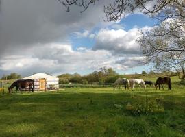 mongolische Jurte im ART.Quartier，位于Velgast的酒店