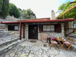 Agoriani Art Studio - Sweet little cottage，位于Lílaia的度假屋