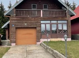 Vila Vasilije