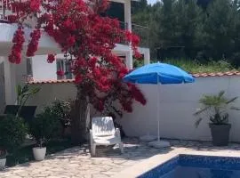 Apartment Tijana