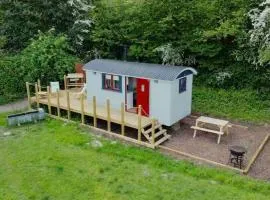 Cleo’s Hut