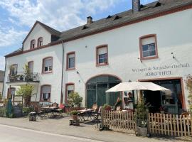 Weingut und Gästezimmer Jörg Thul，位于Detzem的民宿