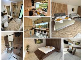 Transalpina Tiny House - outdoor jacuzzi，位于巴亚德菲耶尔的别墅