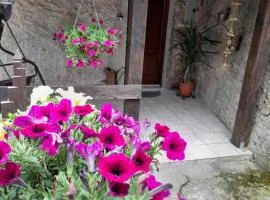 Casa vacanze Alloro