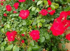 La maison des roses