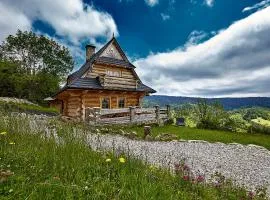 Jarogówka Stylowy dom góralski
