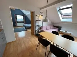 Fresh Cosy Flat In Zakopane Center