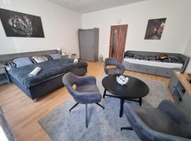 Černý Tulipán - Apartmán 1，位于比尔森的酒店